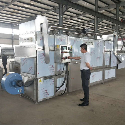 诸城市旺源机械 巴菊花热风循环烘干机价格解析与专业计算机房维护服务指南